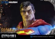 U.P.M.Batman: Hush (Comics) Superman - Görsel 9